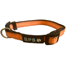 BPS Kutya nyakörv műanyag csattal M-es narancssárga színben