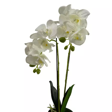 Gumi orchidea cserépben, 55 cm - MS-1009