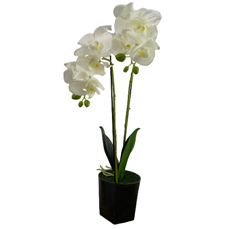 Gumi orchidea cserépben, 55 cm - MS-1009